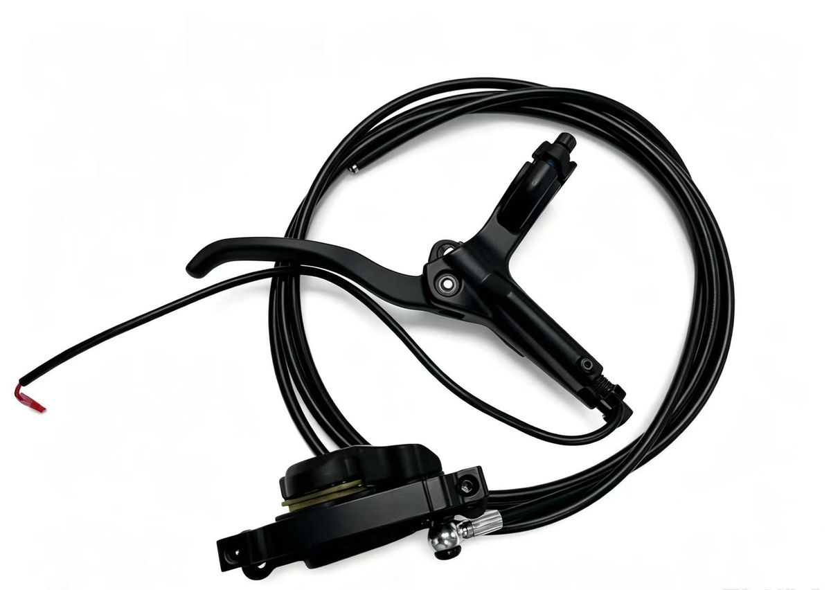 ZSB2/D3 dual drive rear oil disc brake